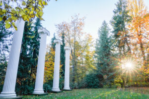 Sylvan Grove on the Seattle campus