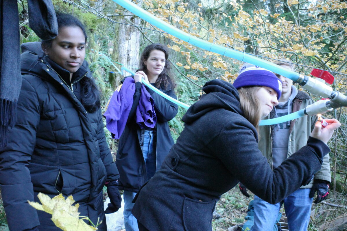 Sarah in the Pack Forest with her labmates