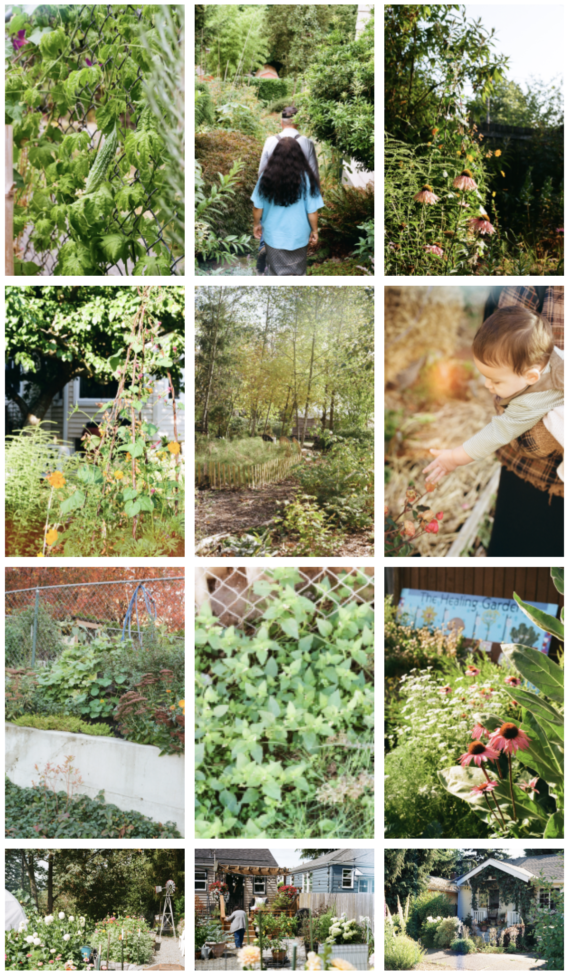 Smaller photos of film photography.